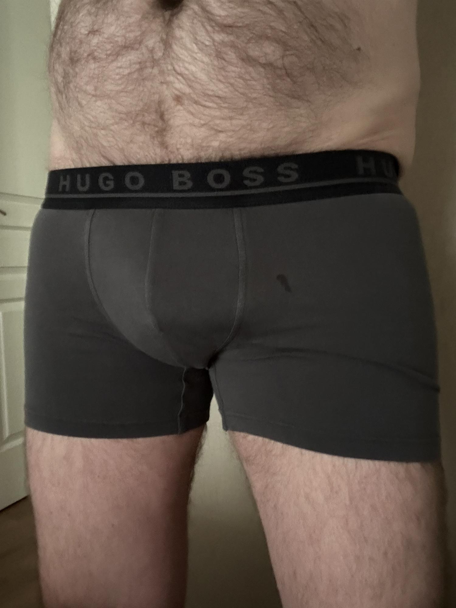Boxer que ya lo han dado todo — foto 2