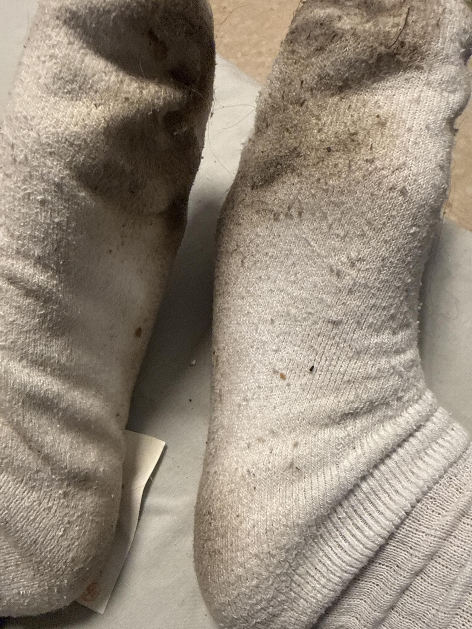 Mis calcetines — foto 1