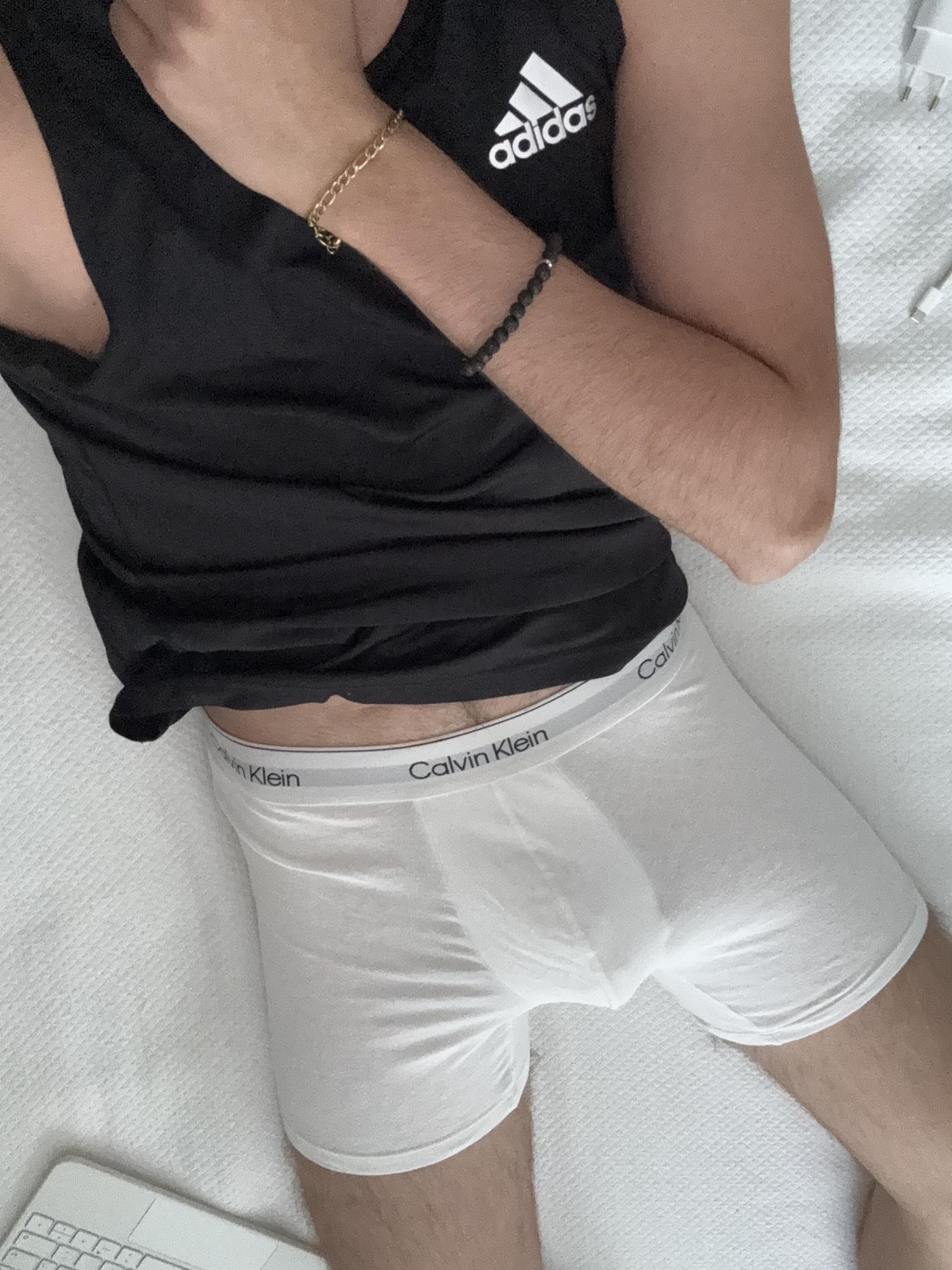 boxer — foto 1