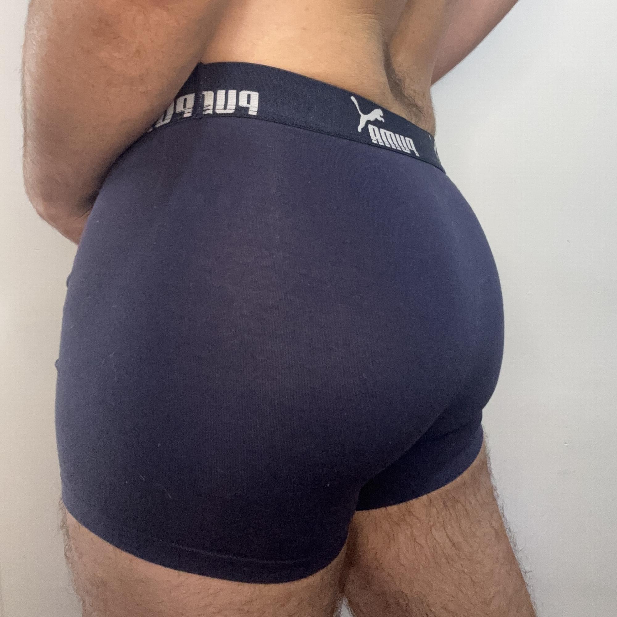 Boxer Puma — foto 1