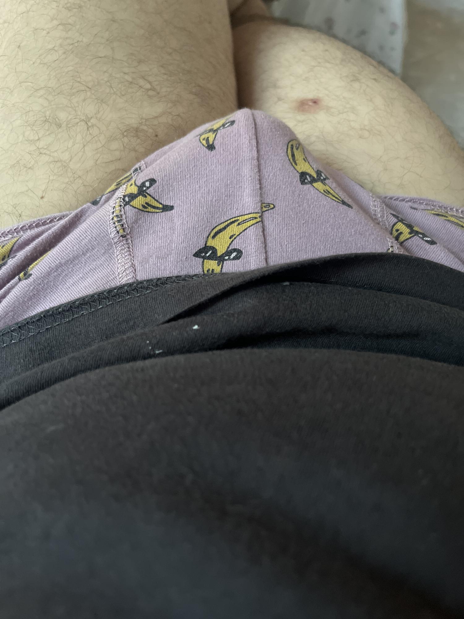 Imagen de perfil de León
