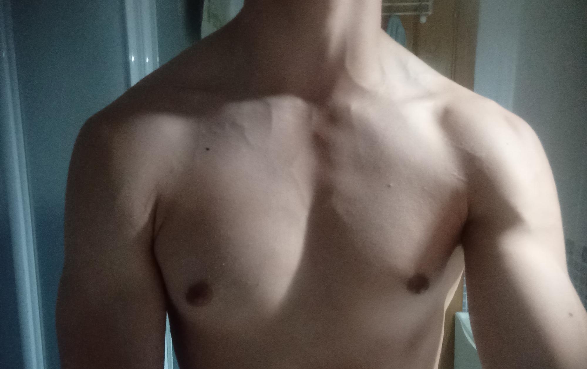 Imagen de perfil de Alejandro