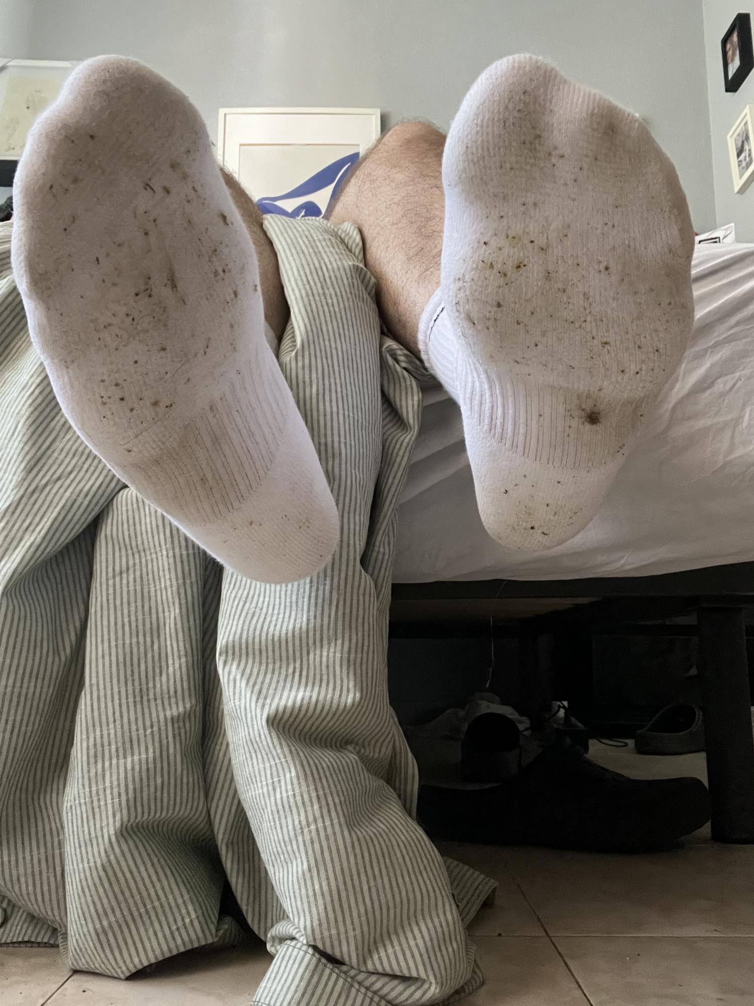 Imagen de perfil de Albert