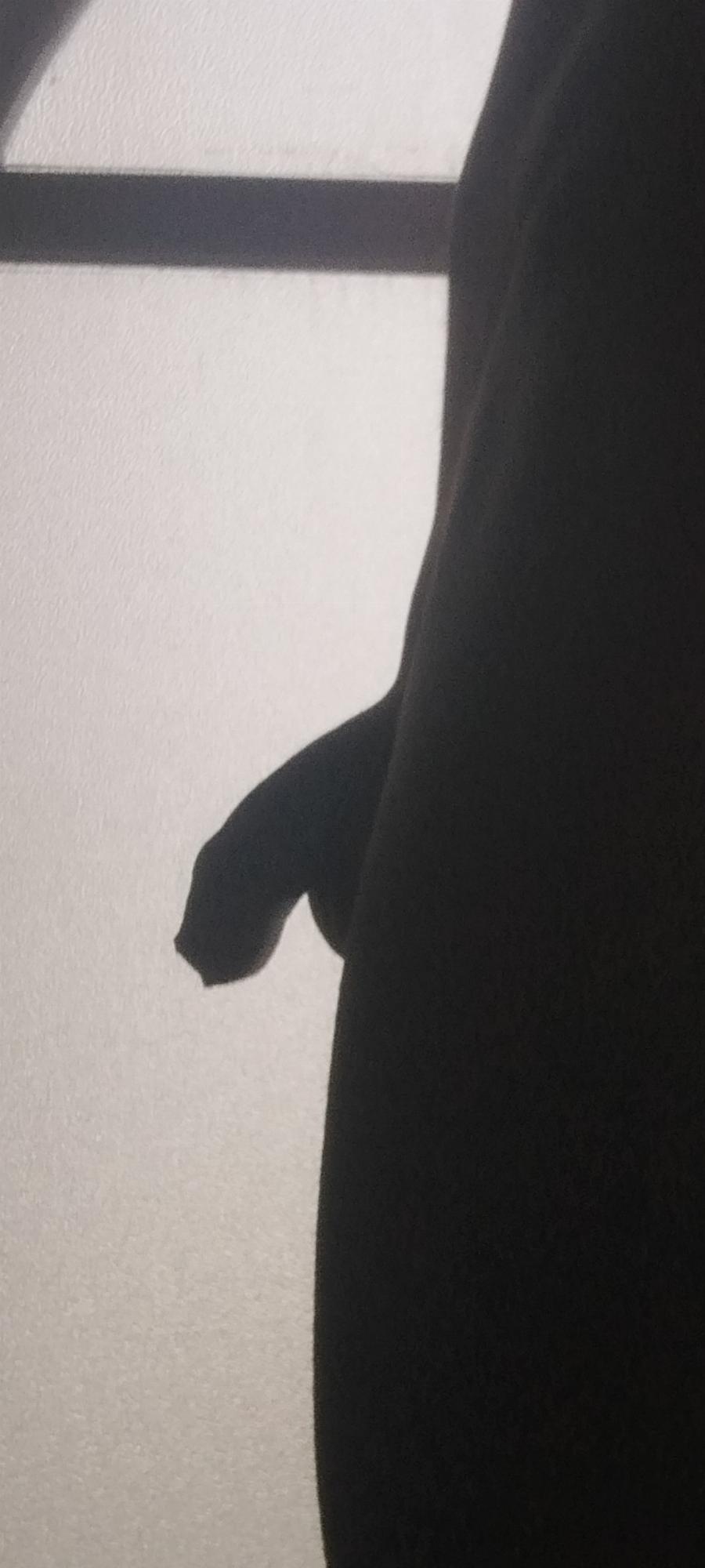 Imagen de perfil de Cuerpocalor