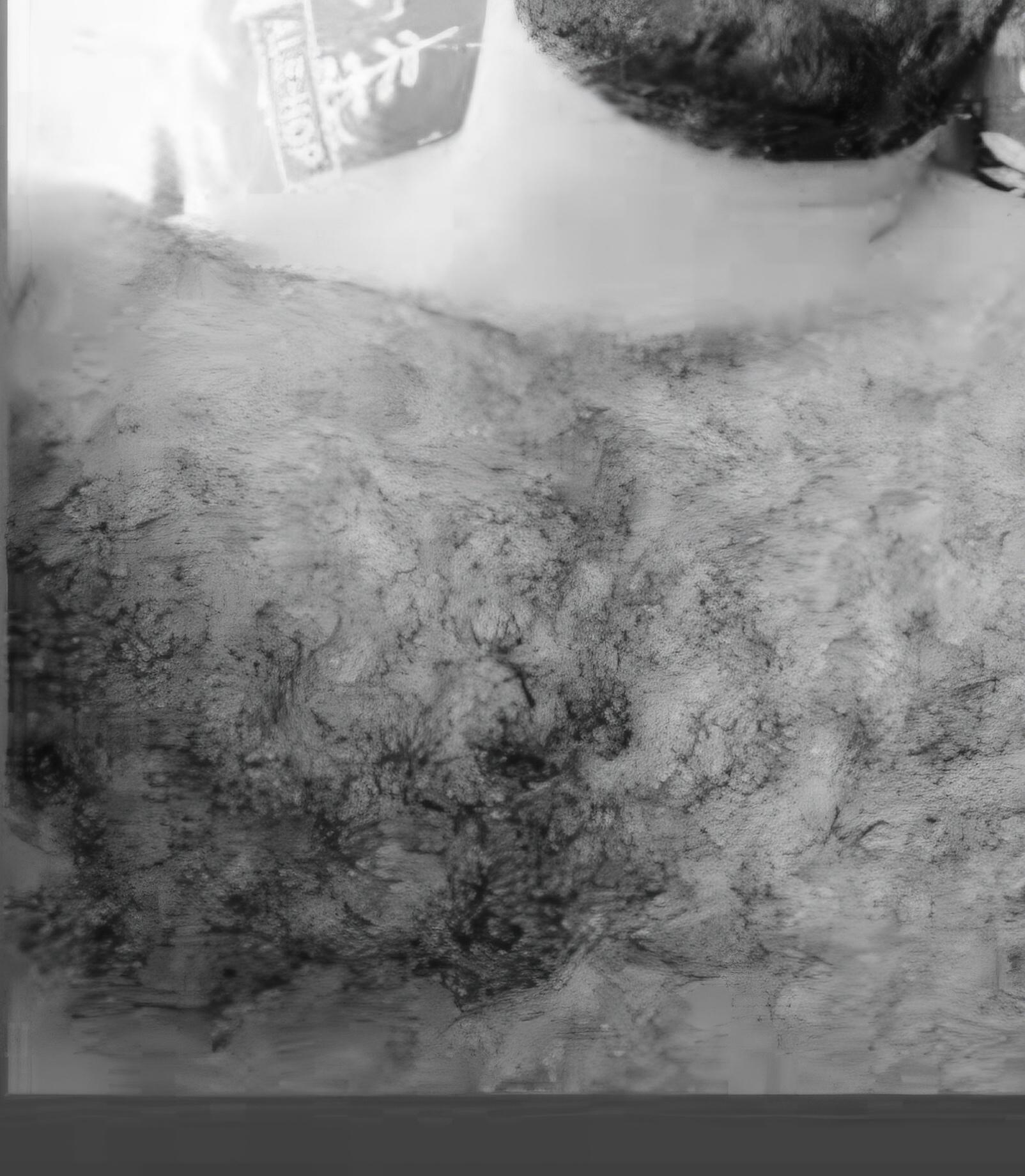Imagen de perfil de Daniel