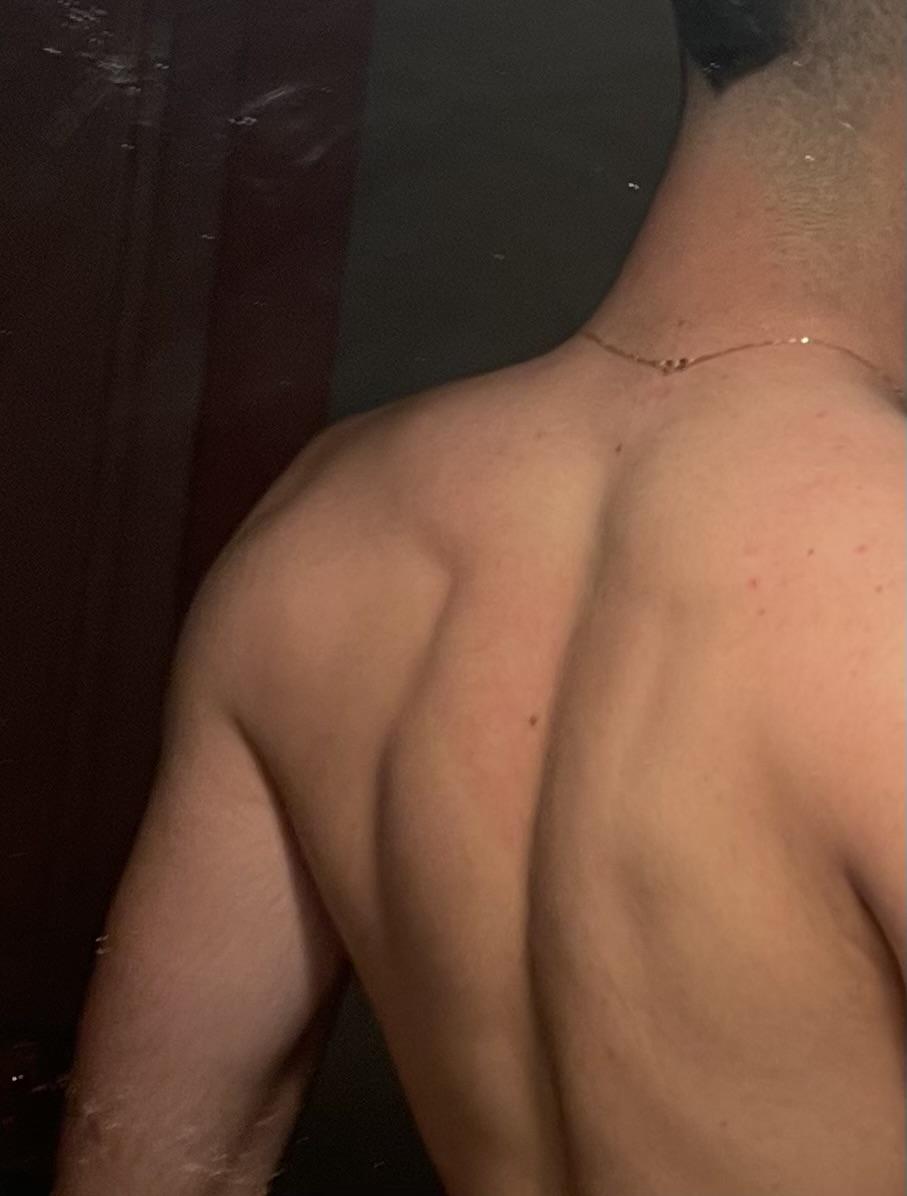 Imagen de perfil de Xl