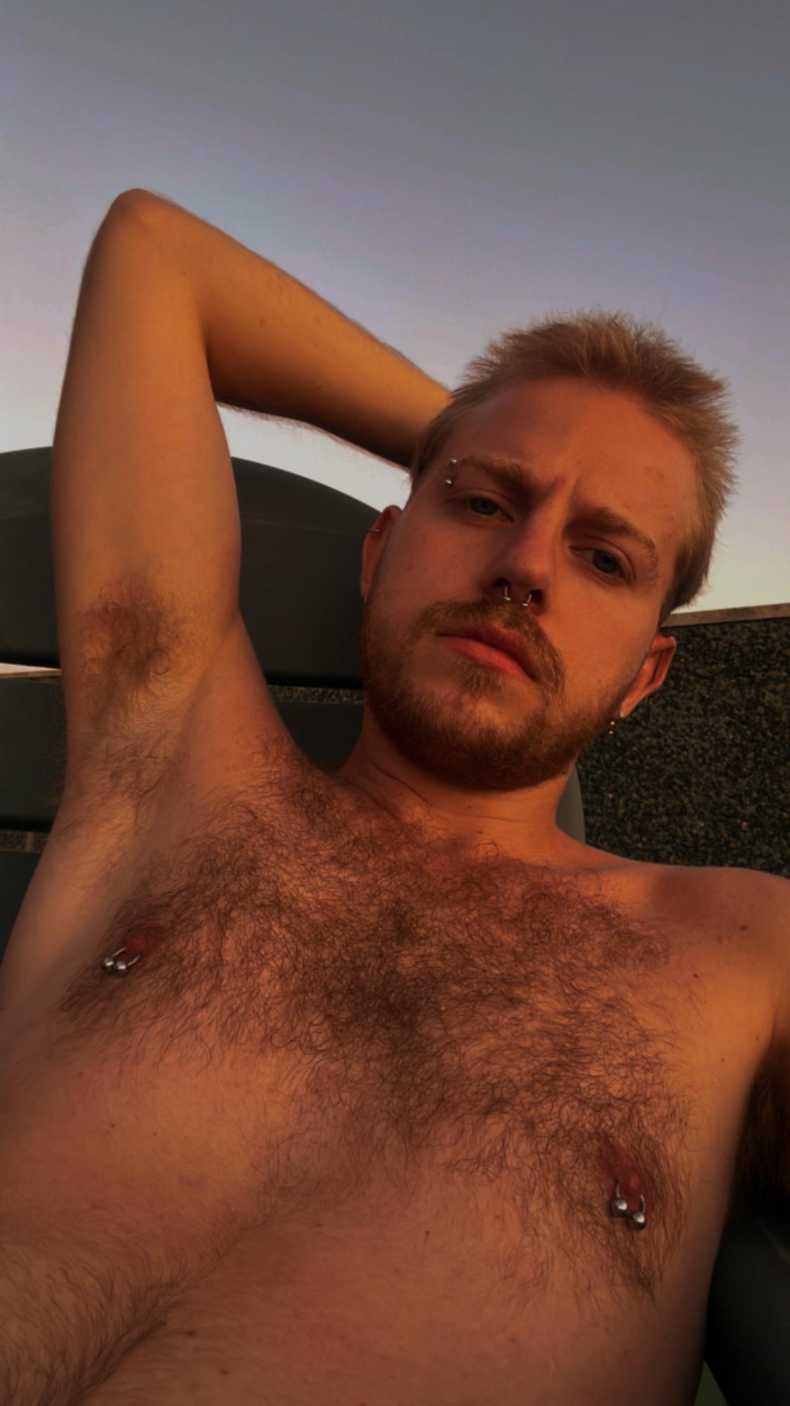 Imagen de perfil de Pablo