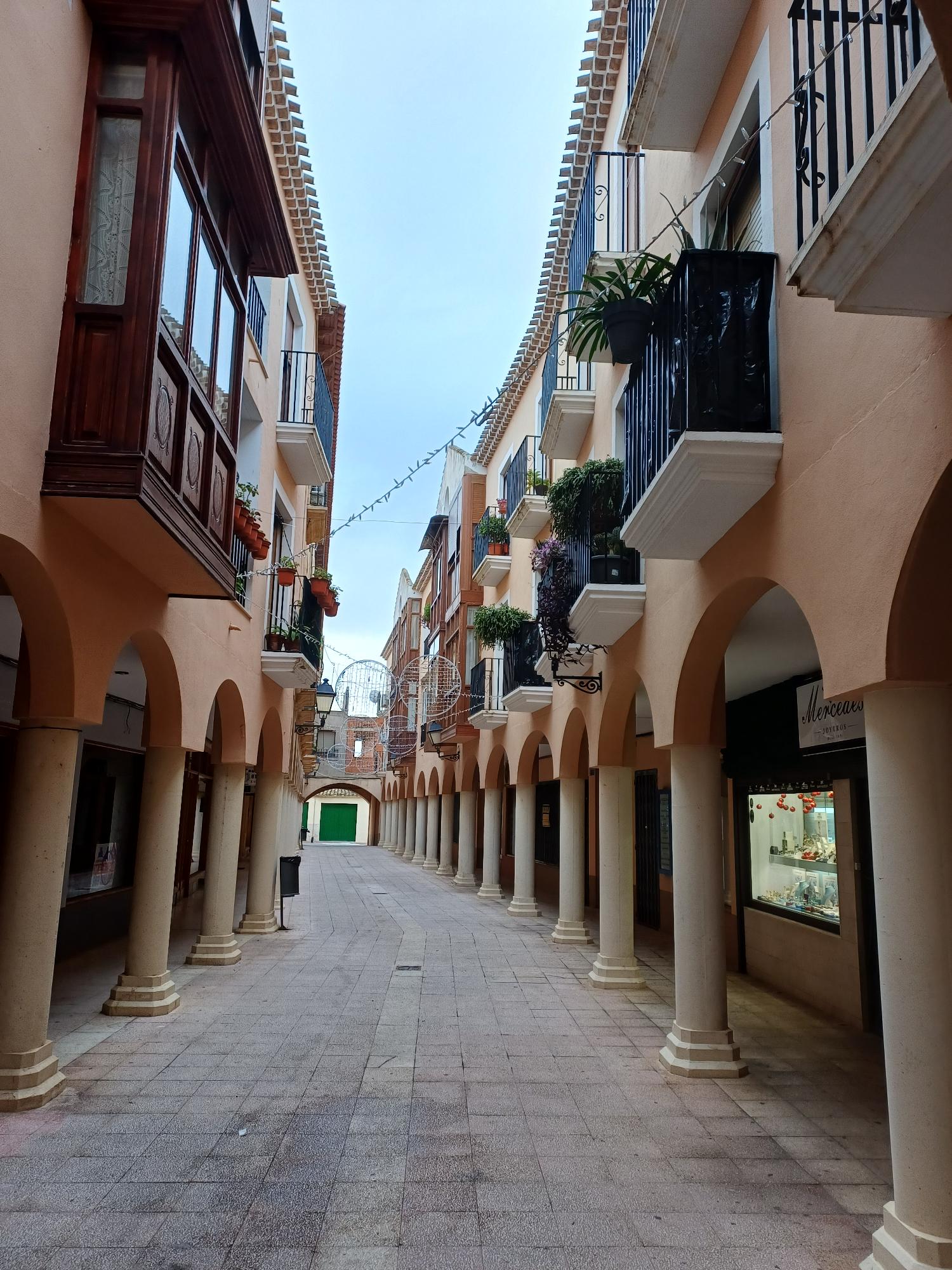 Imagen de perfil de Mancheguico